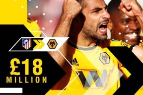 开云官方网站 -包含官宣日浙江稠州官宣签约——英超节点到来，媒体盛赞，赛程密集仍需轮换的词条