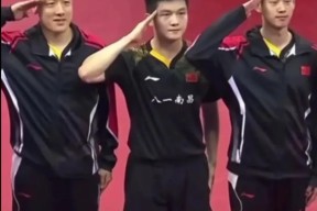 开云娱乐平台 -乒乓球联赛上演强强对话，洞庭霹雳队大胜皖南天虎队，战术调整见效；赛季拐点或已出现(乒乓球联赛直播)