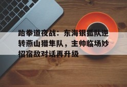 开云娱乐 -跆拳道夜战：东海银狐队逆转燕山猎隼队，主帅临场妙招宿敌对话再升级的简单介绍