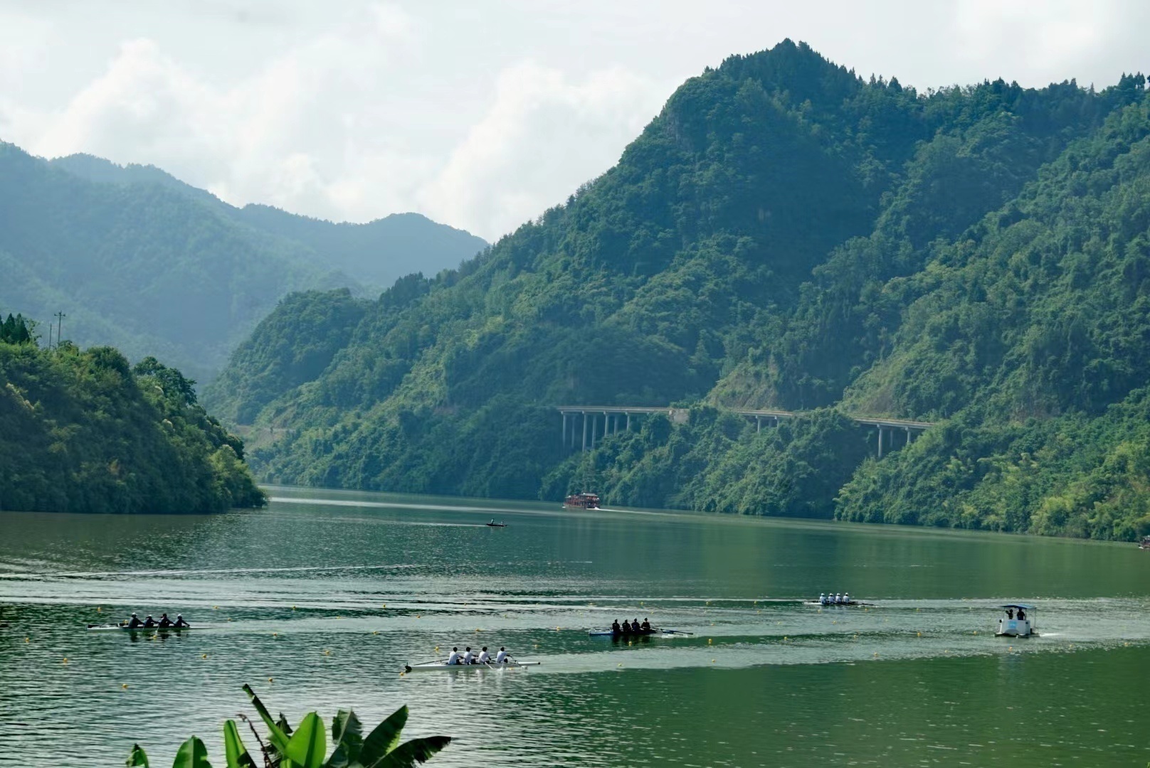 江南雄鲨队失利塞外山猫队，赛艇大师赛上演关键失误成转折！反击锐度十足(野狼disco完整版原唱)